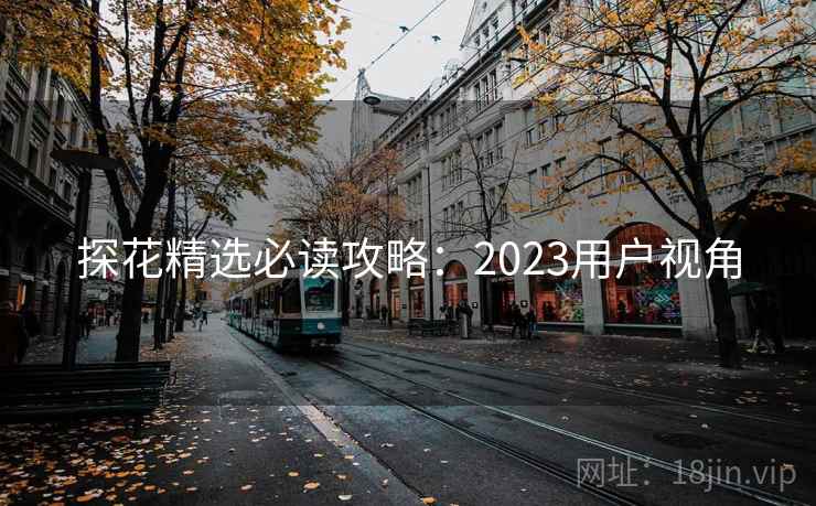 探花精选必读攻略：2023用户视角