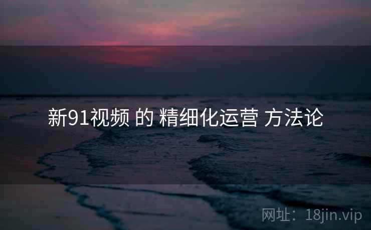 新91视频 的 精细化运营 方法论