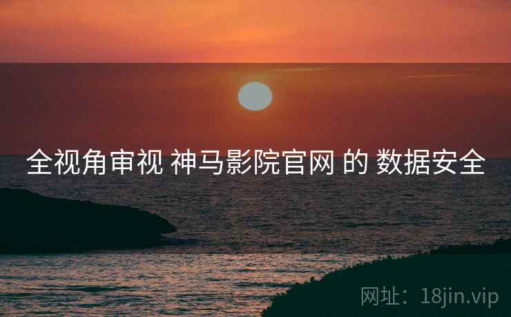 全视角审视 神马影院官网 的 数据安全