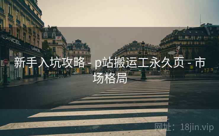 新手入坑攻略 - p站搬运工永久页 - 市场格局