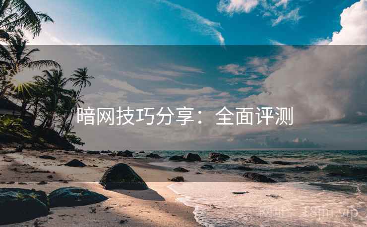 暗网技巧分享：全面评测