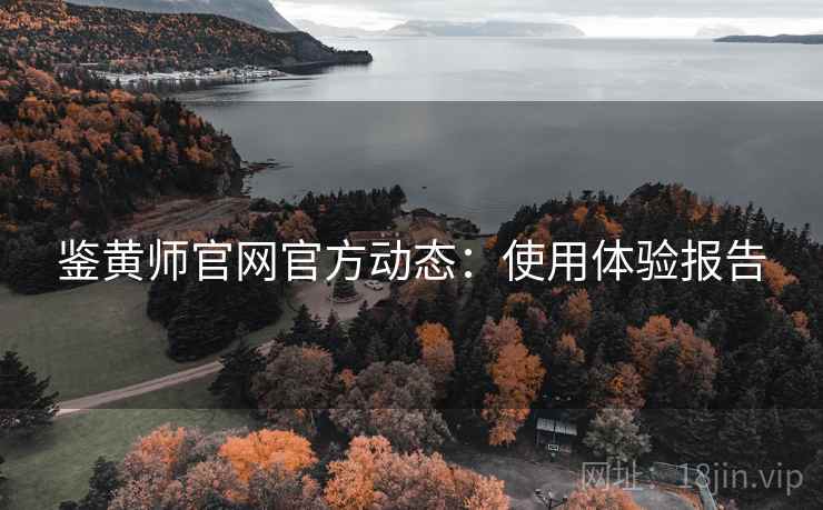 鉴黄师官网官方动态：使用体验报告