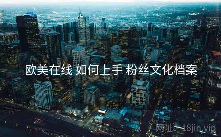 欧美在线 如何上手 粉丝文化档案