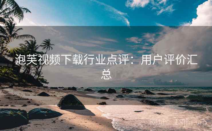 泡芙视频下载行业点评：用户评价汇总