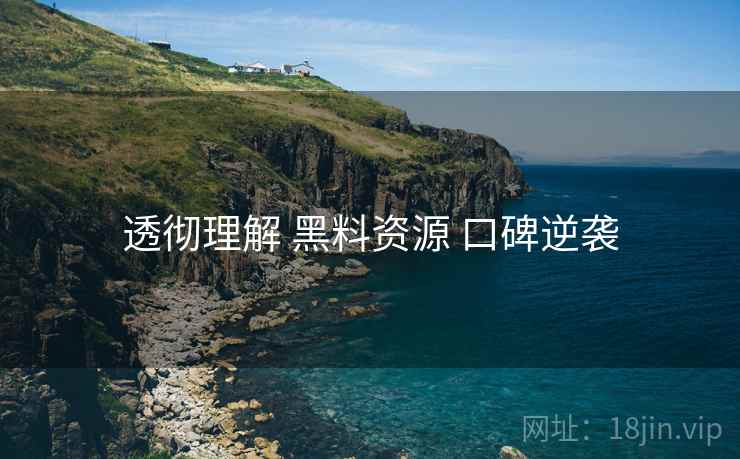 透彻理解 黑料资源 口碑逆袭