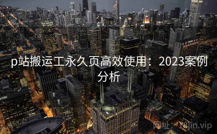 p站搬运工永久页高效使用：2023案例分析