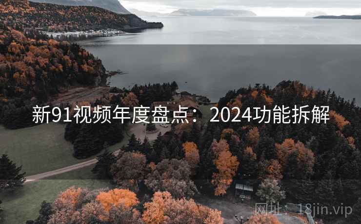新91视频年度盘点：2024功能拆解