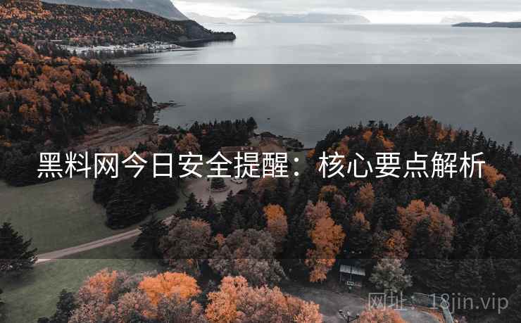 黑料网今日安全提醒：核心要点解析