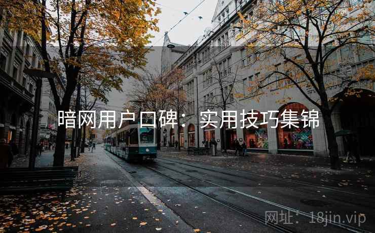 暗网用户口碑：实用技巧集锦