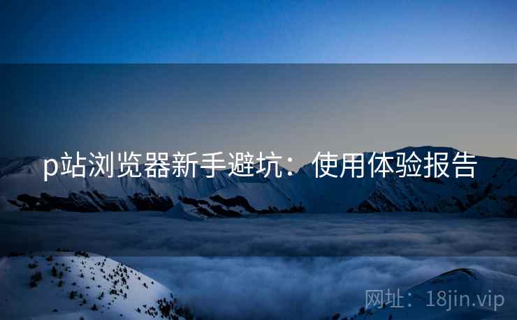 p站浏览器新手避坑：使用体验报告