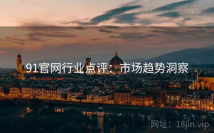 91官网行业点评：市场趋势洞察