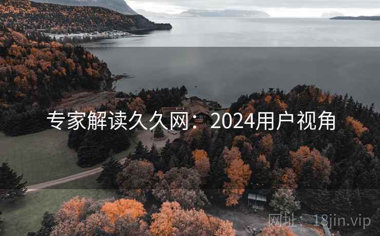 专家解读久久网：2024用户视角